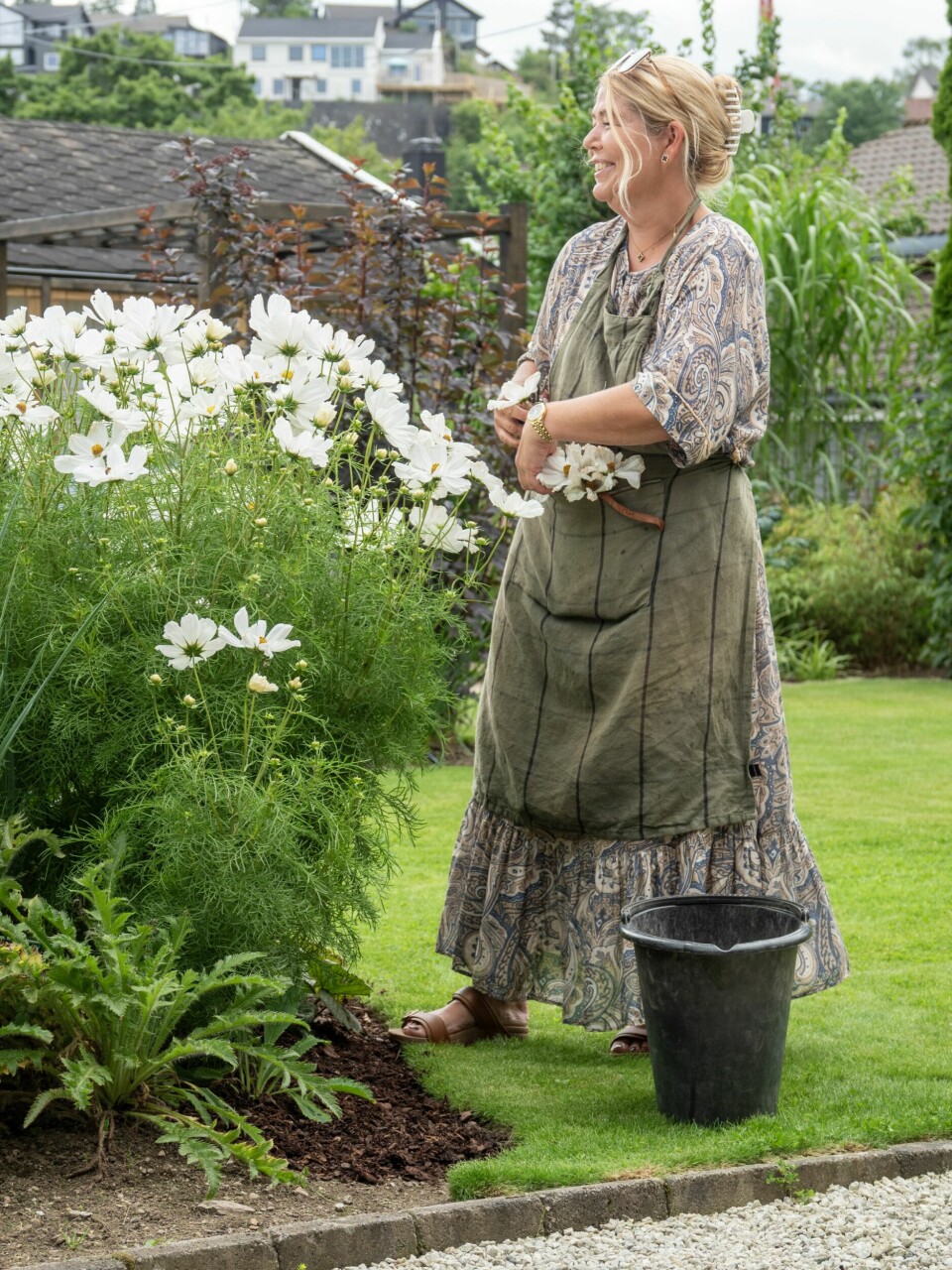 KOSMOS 'VEGA WHITE': – Denne sommerblomsten gir volum i bedene, vokser raskt og produserer masse nye blomster hver dag.