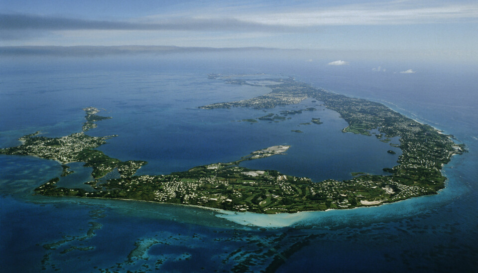 MYSTERIETS TRIANGEL: Bermuda sett fra luften. I området herfra og til Florida har utallige skip og fly forsvunnet uten spor.