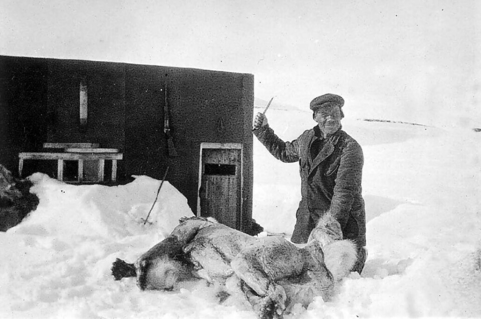 BJØRNEGLISET: Georg Bjørnnes poserer for fotografen under arbeidet med å flå en isbjørn på Edgeøya, trolig vinteren 1930. Hans kollega Alfred Svendsen var en av få som hadde med seg fotoapparat opp til isødet.