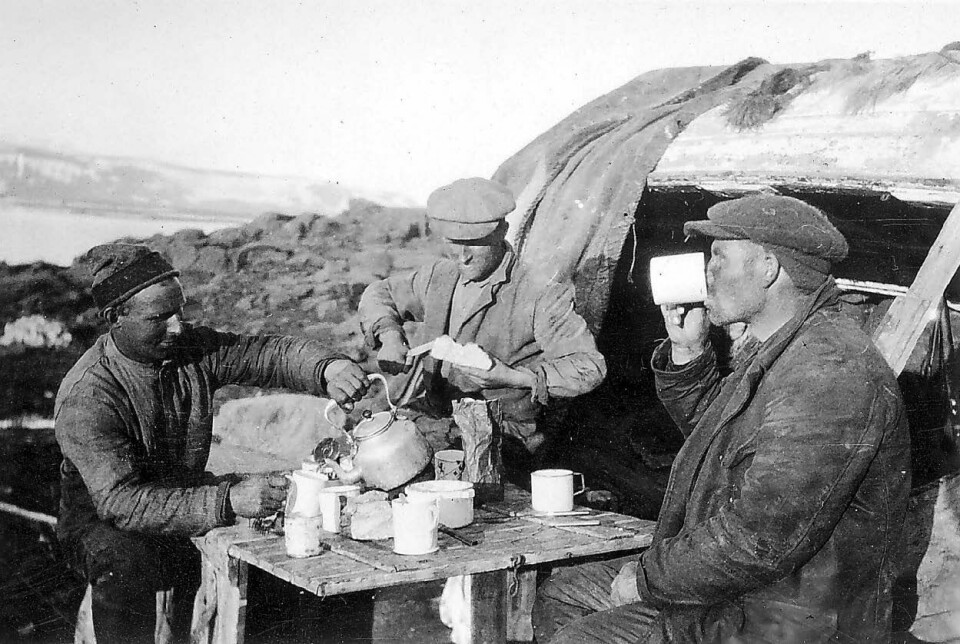 MORGENKAFFE: Fangstlivet var hardt, og det var godt å nyte de rolige stundene. Her drikker Georg Bjørnnes (til h.) kaffe i lag med med Einar Svendsen og sistnevntes fetter Eldor Svendsen. Fotograf var Eldors bror, Alfred.