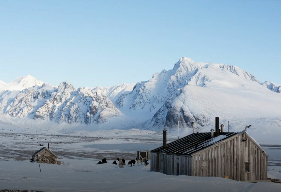 HJEMMET I ISEN: Wijdefjorden på Svalbard var både Bjørnnes' og bjørnens rike. Fangst-mannen satte selv opp stasjonen Aust-fjordnes, som nylig ble besøkt av Lars Monsen i NRK-serien «Monsen og nasjonalparkene». Det gamle bildet av en knapt synlig Bjørn-nes foran hytta, henger på veggen der inne i dag.