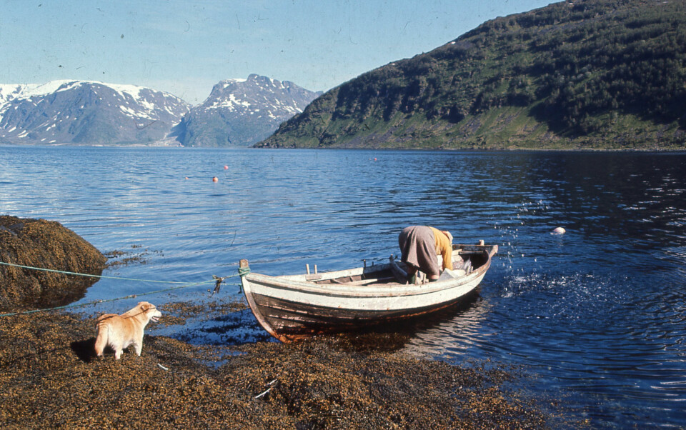 RODDE FISKE: Johanna rodde selv ut for å fiske maten de trengte. Det var hun vant til fra barndommen.