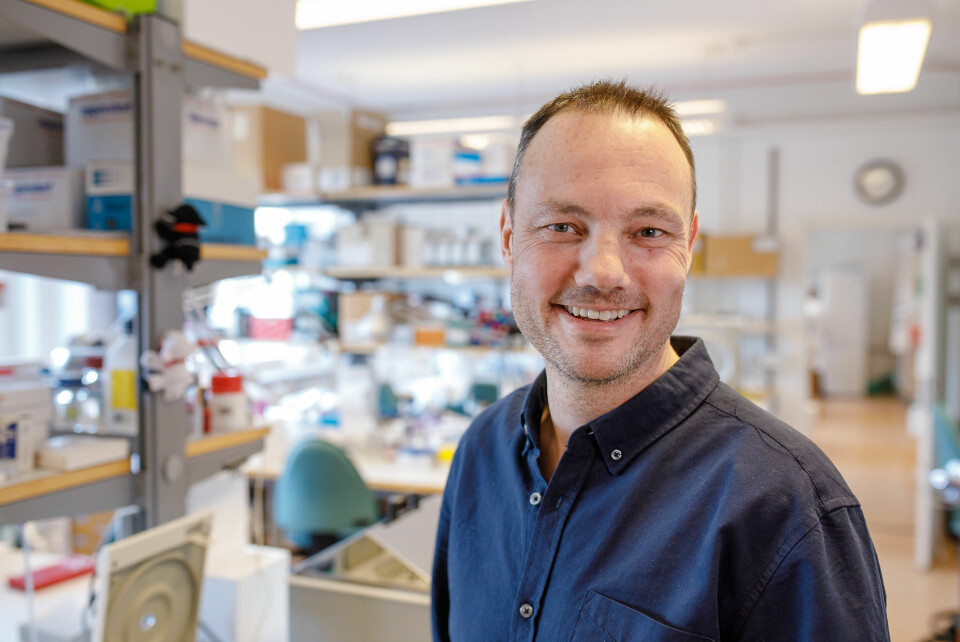 KREFTBEHANDLING: Vi tror at designede virus også kan brukes til å behandle kreft, og at de også kan bli et verdifullt alternativ til antibiotika i fremtiden, sier Niklas Arnberg er professor i virologi ved Umeå universitet.