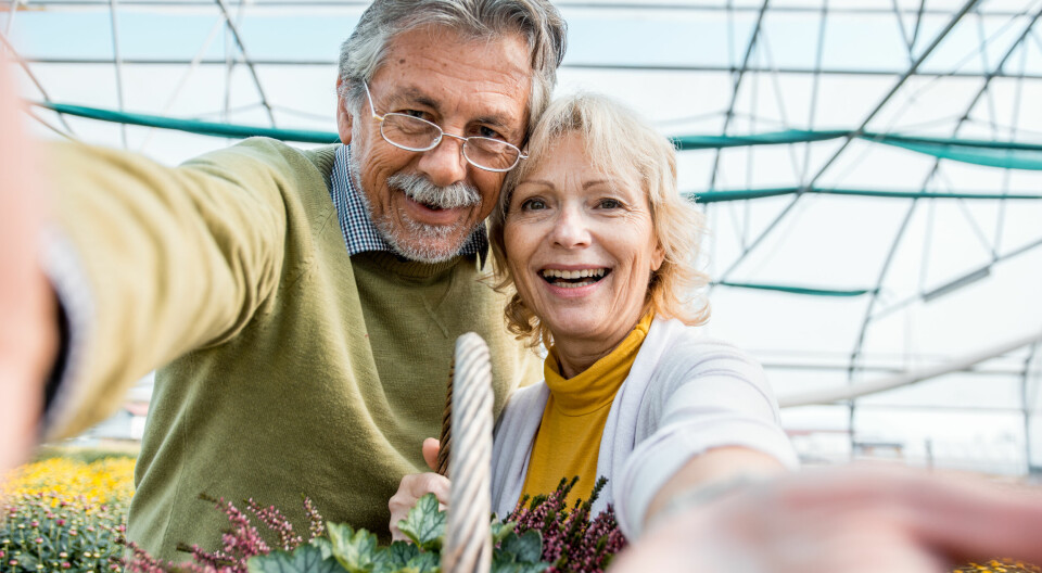 – Besteforeldrene rømmer til Spania og er alltid travle når vi ber om hjelp. Hva kan vi gjøre?