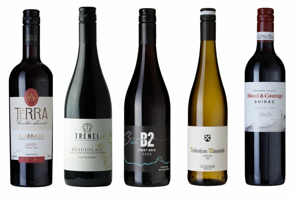 GODE VINKJØP: Fem viner fra fem forskjellige land; Australia, New Zealand, Frankrike, Tyskland og Portugal.