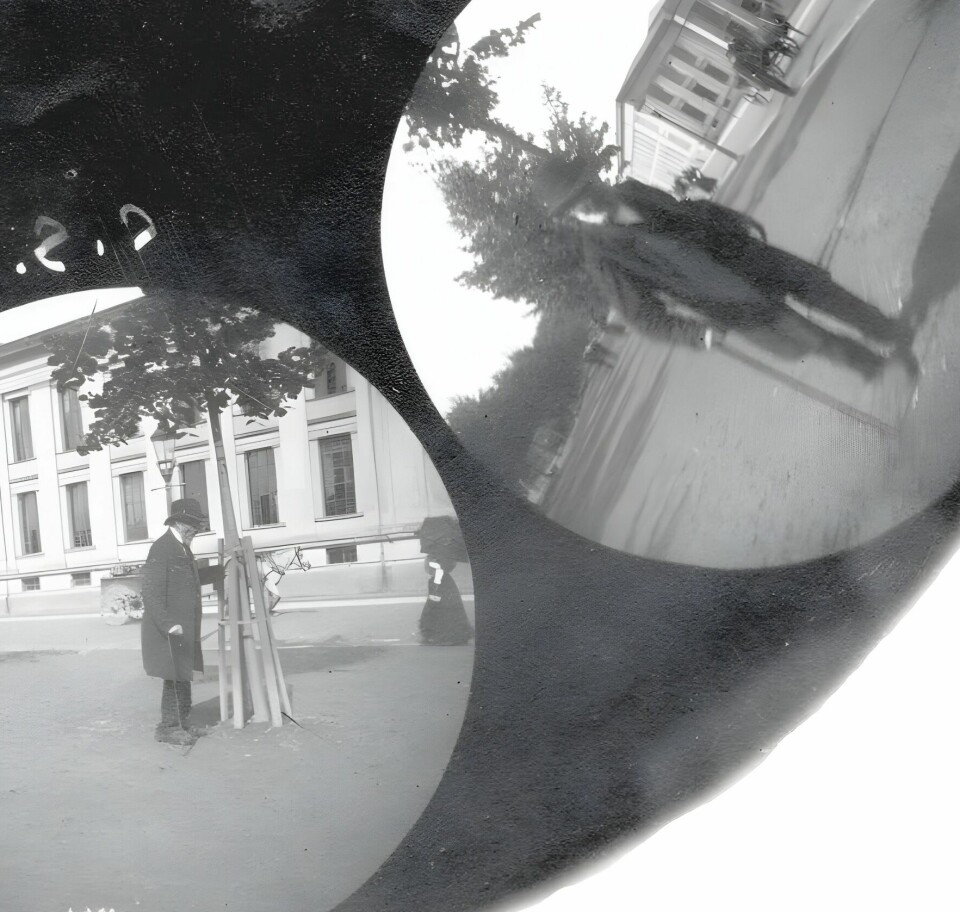 SLITEN DIKTER: Ivar Aasen, nynorskens far, var en eldre herre da Størmer fotograferte ham. Aasen måtte hvile seg inntil et tre på en av sine turer langs Karl Johan.