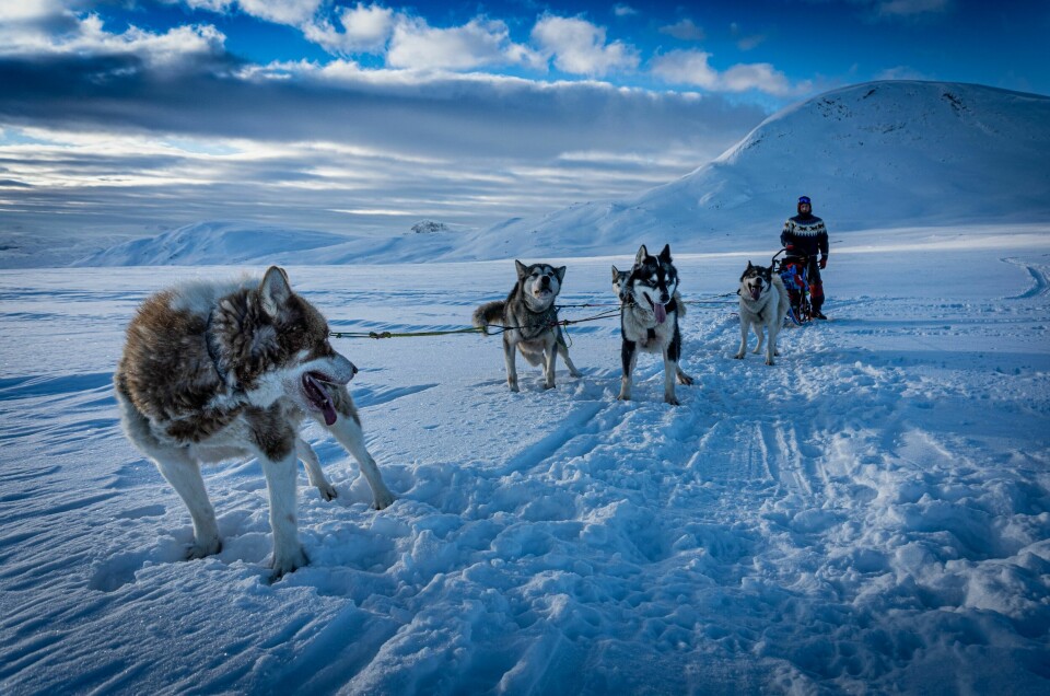 NATURELSKER: Kristian drømmer om å finne en å dra på turer med i vakkert landskap som dette.