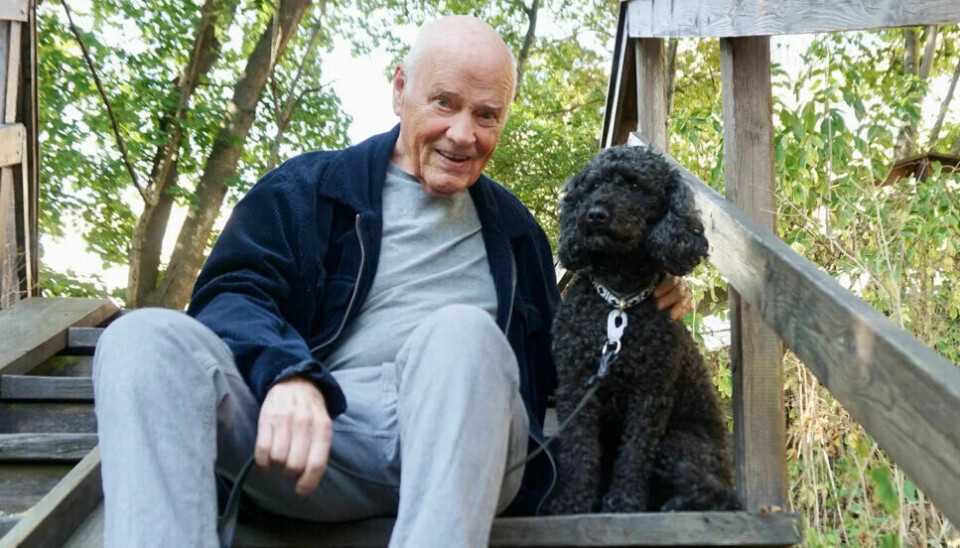 HUNDEPSYKOLOG: Anders Hallgren (83) er hundepsykolog, forfatter og foreleser. Han er aktuell med sin 37. bok, «Frå kontroll til samarbeid – la hunden vise vei». Her avbildet med en åtte år gammel cockapoo – halvt cocker spaniel og halvt puddel. Anders Hallgren avbildet med en åtte år gammel cockapoo – halvt cocker spaniel og halvt puddel.