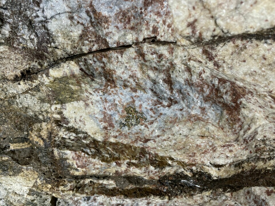 SKINNET BEDRAR: Det er ikke gull alt som glimrer. Det er de brune flekkene som utgjør de sjeldne jordartene, som igjen rommer 17 forskjellige mineraler.