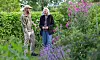Två personer står på en grön kolonilott omgivna av färgstarka blommor och buskar.