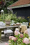 Trädgårdsuteplats med träbord, stolar, krukor och blommande hortensior framför ett svart skjul.