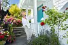 Trude Teige står ved trappen til et hvitt trehus med blå dør, omgitt av roser og blomster.