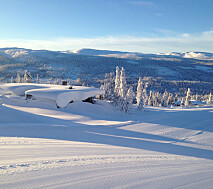 Farger hytte ved sjøen